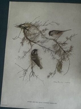 Neutral Toned Bird Illustration Wall Art - Brown and Cream